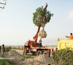 دانشجویان برای حل مشکل ریزگردهای خوزستان درختکاری می کنند