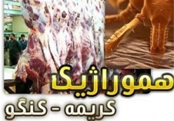 ابتلای 5 خوزستانی به بیماری مرگبار /هشدار درباره تب کریمه کنگو