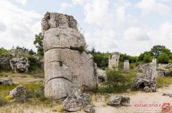 جنگل سنگی ، جاذبه ای طبیعی در بلغارستان