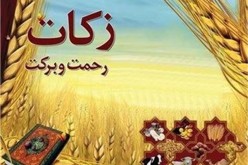 ۳.۵ میلیارد ریال زکات در شادگان جمع آوری شد