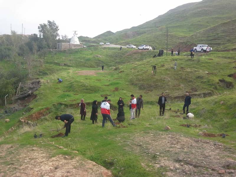 شهرستان های مختلف خوزستان به مناسبت فرا رسیدن روز درختکاری و هفته منابع طبیعی، شاهد کشت هزاران اصله نهال مختلف توسط مردم و مسئولان بود.