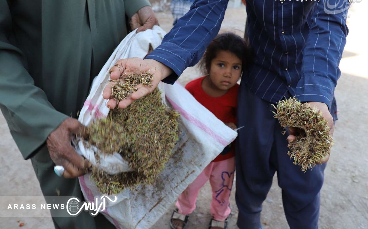 گزارش تصویری / بازدید معاون توسعه روستایی و مناطق محروم از مناطق سیل زده