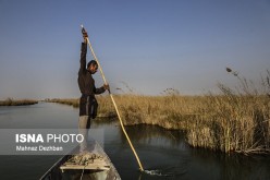 آغاز عملیات نی‌زدایی و لایروبی تالاب شادگان