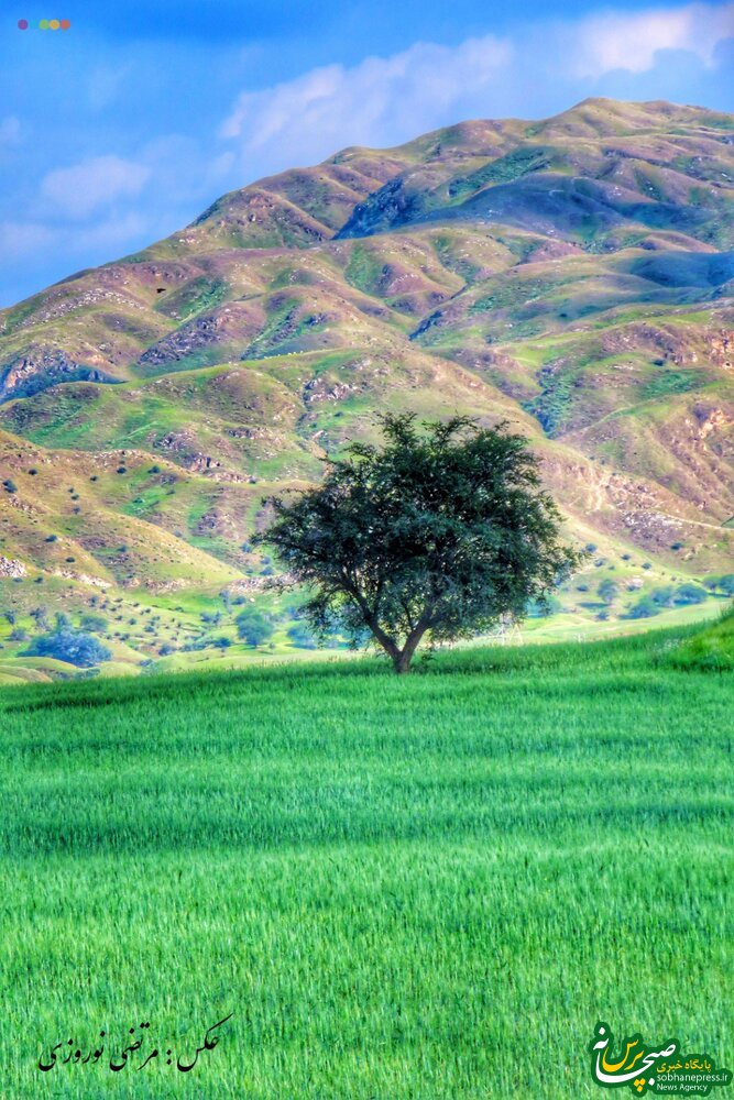 تصاویری زیبا از طبیعت شهرستان عنبر در خوزستان